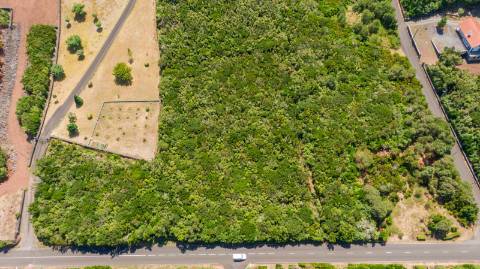 VENDE-SE TERRENO RÚSTICO EM SANTO ANTÓNIO, SÃO ROQUE DO PICO