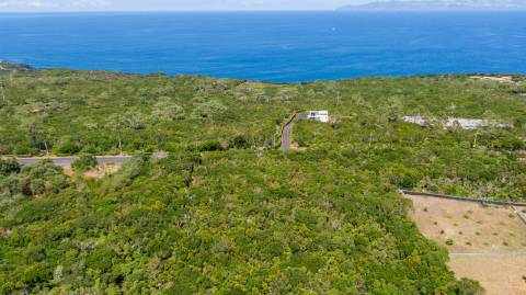 VENDE-SE TERRENO RÚSTICO EM SANTO ANTÓNIO, SÃO ROQUE DO PICO