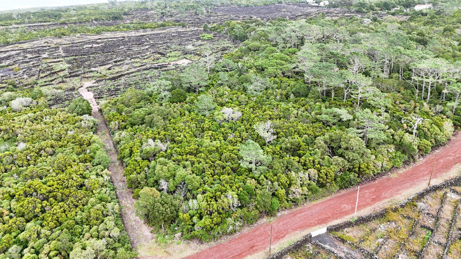 VENDE-SE TERRENO NA MADALENA, MADALENA DO PICO