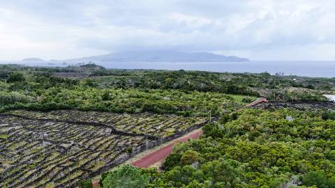 VENDE-SE TERRENO NA MADALENA, MADALENA DO PICO