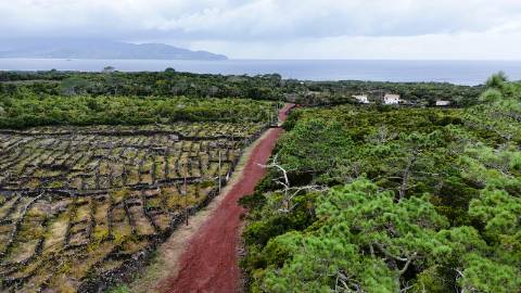 VENDE-SE TERRENO NA MADALENA, MADALENA DO PICO