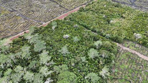 VENDE-SE TERRENO NA MADALENA, MADALENA DO PICO