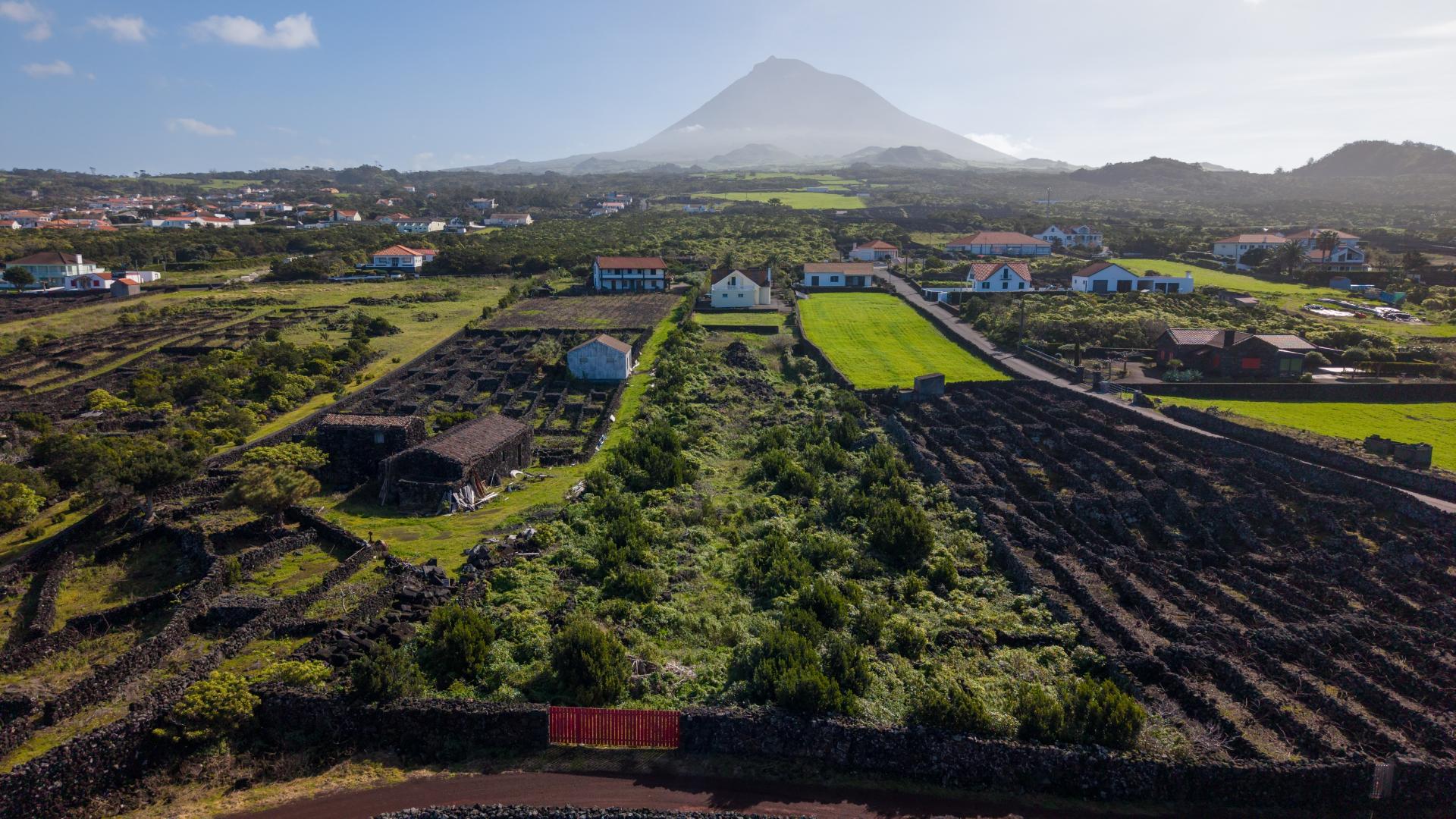 VENDE-SE MORADIA T4 NA CRIAÇÃO VELHA, MADALENA DO PICO