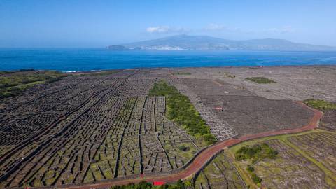 VENDE-SE MORADIA T4 NA CRIAÇÃO VELHA, MADALENA DO PICO