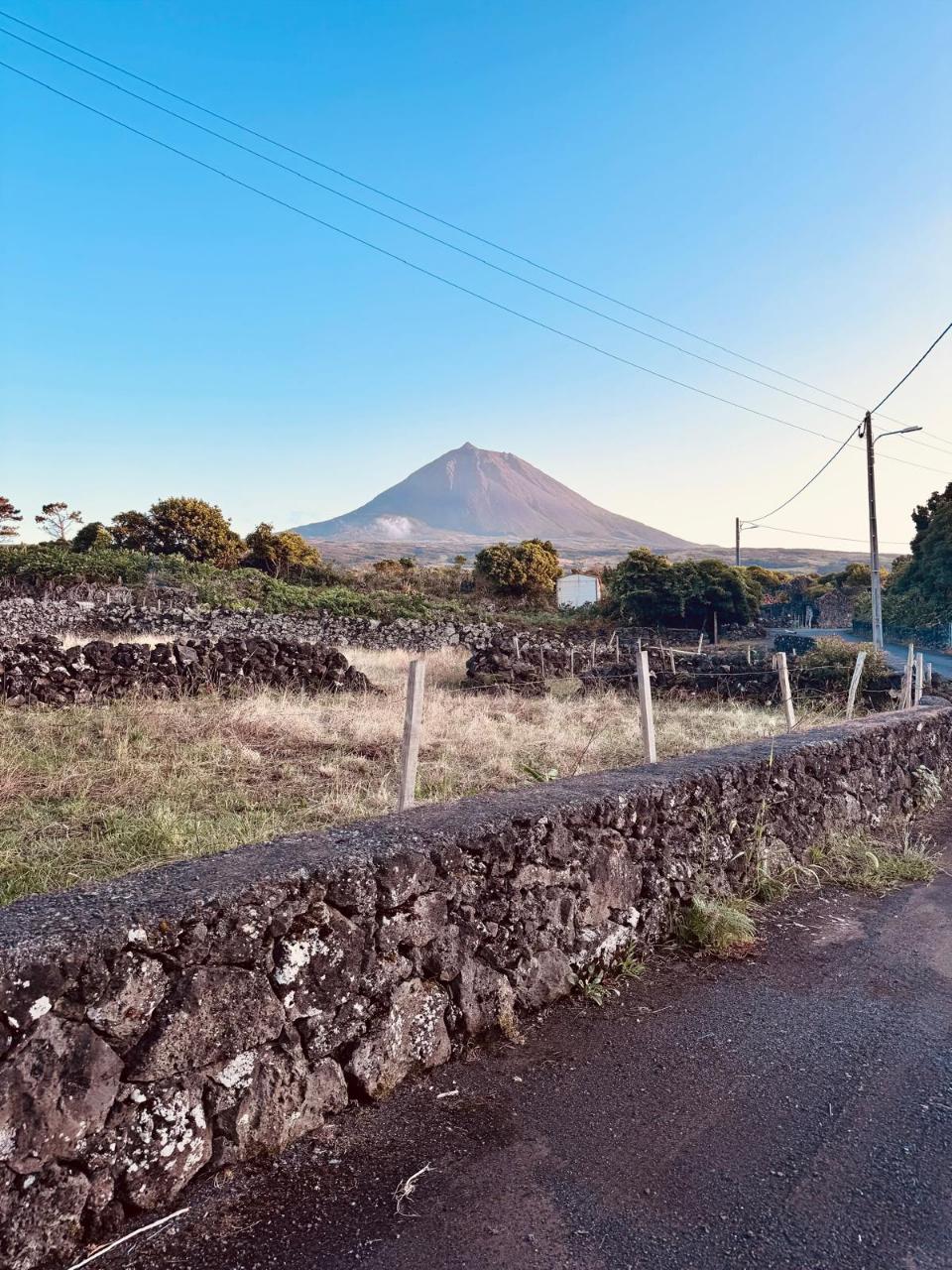 VENDE-SE TERRENO RÚSTICO EM SANTO ANTÓNIO, SÃO ROQUE DO PICO