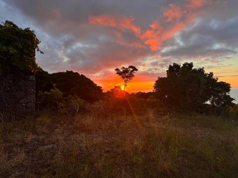 VENDE-SE TERRENO RÚSTICO EM SANTO ANTÓNIO