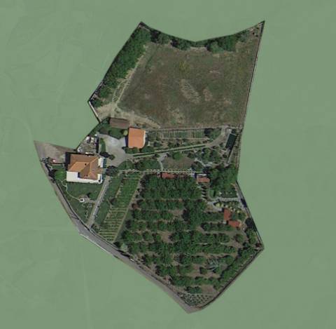 Reservada, Quintinha de 10.000 m2 com Casa em Pedra Reabilitada