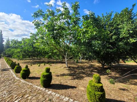 Reservada, Quintinha de 10.000 m2 com Casa em Pedra Reabilitada