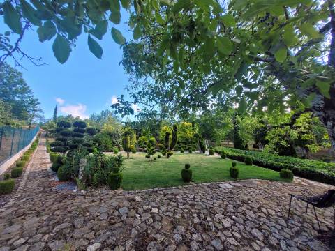 Reservada, Quintinha de 10.000 m2 com Casa em Pedra Reabilitada