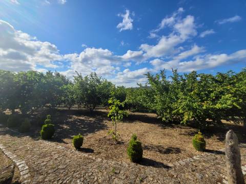 Reservada, Quintinha de 10.000 m2 com Casa em Pedra Reabilitada