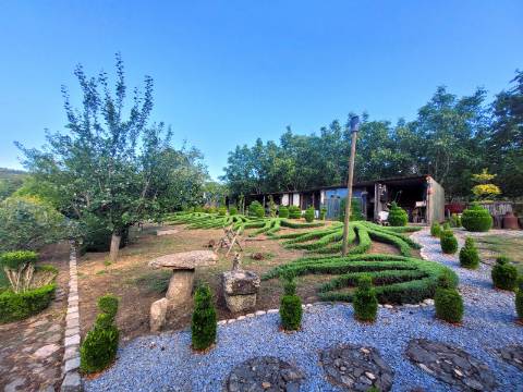 Reservada, Quintinha de 10.000 m2 com Casa em Pedra Reabilitada