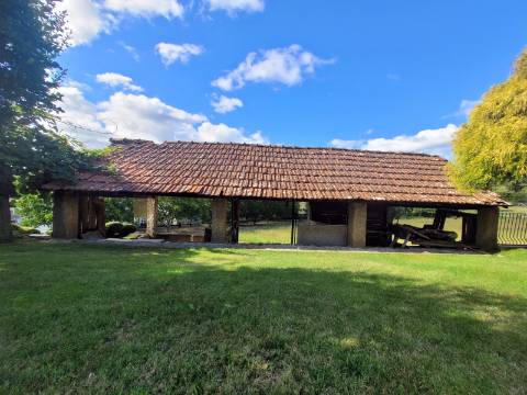 Reservada, Quintinha de 10.000 m2 com Casa em Pedra Reabilitada