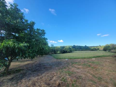 Reservada, Quintinha de 10.000 m2 com Casa em Pedra Reabilitada