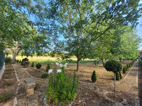 Reservada, Quintinha de 10.000 m2 com Casa em Pedra Reabilitada