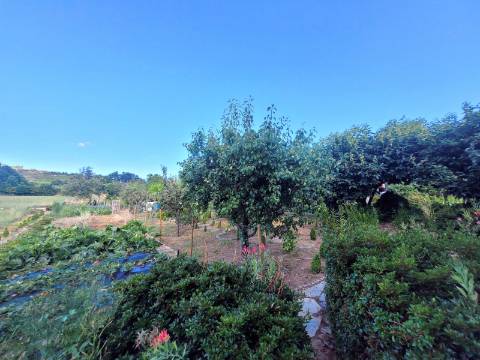 Casa em Pedra Reabilitada em Terreno de 10.000 m2