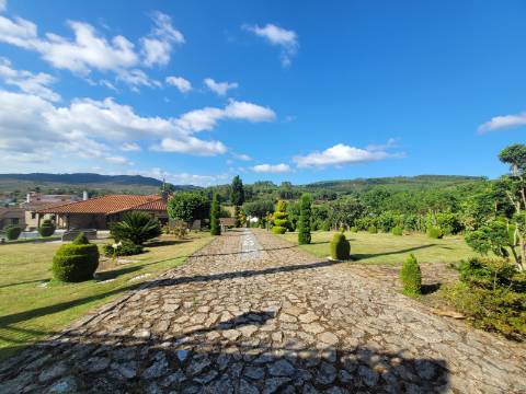 Casa em Pedra Reabilitada em Terreno de 10.000 m2