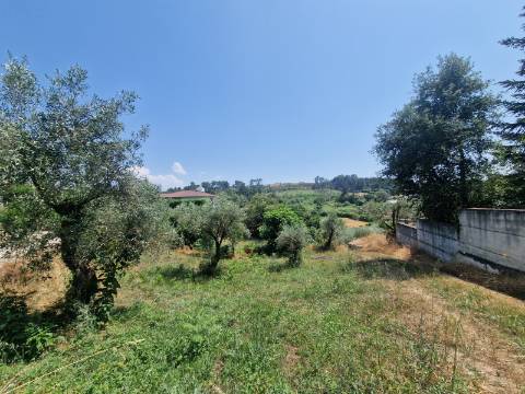 Terreno com Licença de Construção para Moradia Unifamiliar