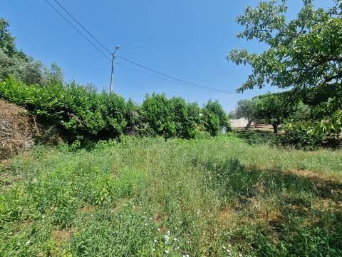 Terreno com Licença de Construção para Moradia Unifamiliar