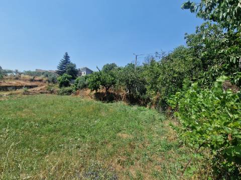 Terreno com Licença de Construção para Moradia Unifamiliar