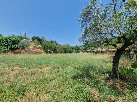 Terreno com Licença de Construção para Moradia Unifamiliar