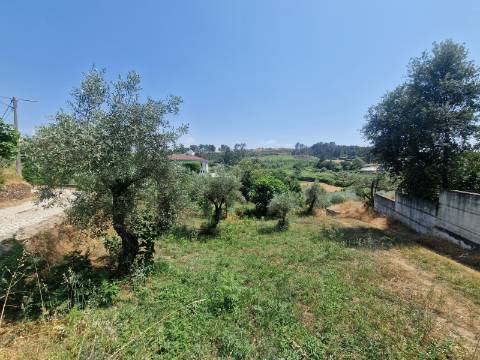 Terreno com Licença de Construção para Moradia Unifamiliar