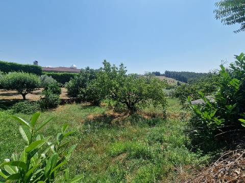 Terreno com Licença de Construção para Moradia Unifamiliar