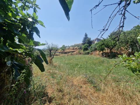 Terreno com Licença de Construção para Moradia Unifamiliar