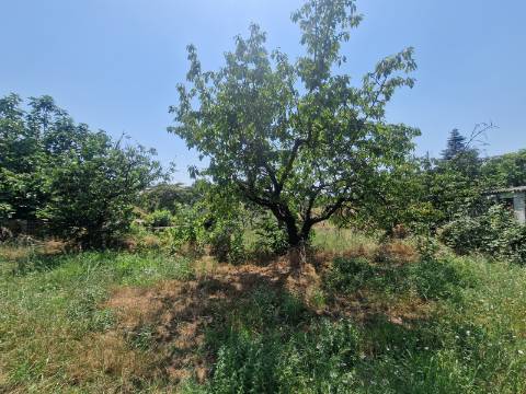 Terreno com Licença de Construção para Moradia Unifamiliar