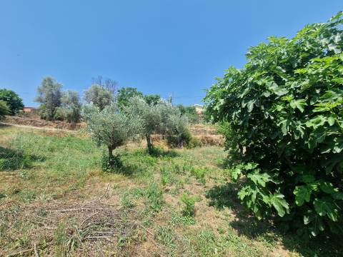 Terreno com Licença de Construção para Moradia Unifamiliar