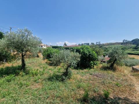 Terreno com Licença de Construção para Moradia Unifamiliar