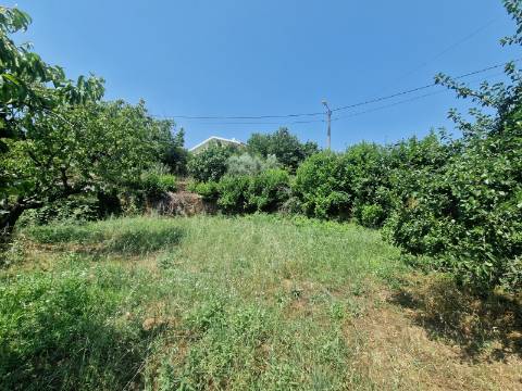 Terreno com Licença de Construção para Moradia Unifamiliar