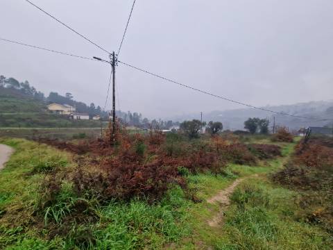 Terreno de 8.000m2 para Construção de Habitação em Altura