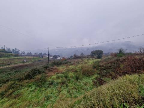 Terreno de 8.000m2 para Construção de Habitação em Altura