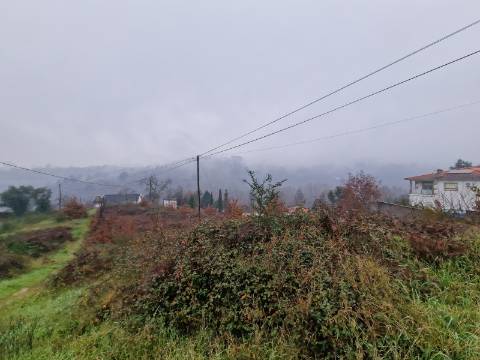 Terreno de 8.000m2 para Construção de Habitação em Altura