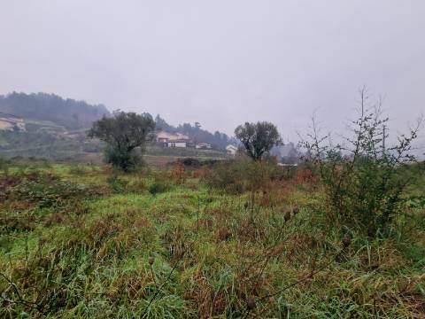 Terreno de 8.000m2 para Construção de Habitação em Altura