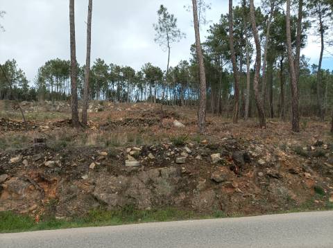 Terreno Junto à N322 na Freguesia de Constantim e Vale de Nogueiras