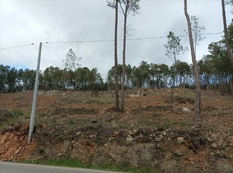 Terreno Junto à N322 na Freguesia de Constantim e Vale de Nogueiras