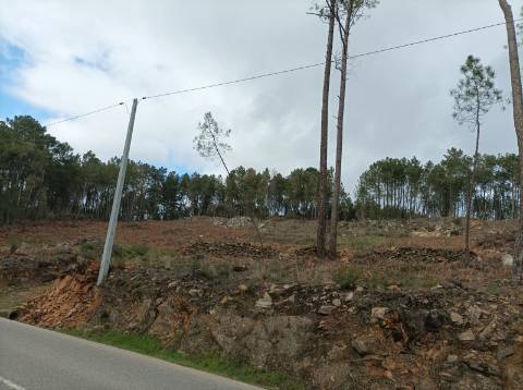 Terreno Junto à N322 na Freguesia de Constantim e Vale de Nogueiras