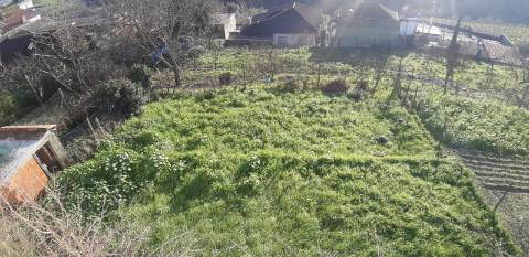 Moradia T3 Geminada Implantada em Terreno de 588 m2 em Bujões, Vila Real