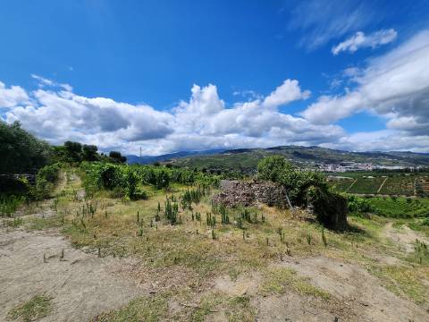 Quinta Vinícola com PIP em Elaboração para Boutique Hotel