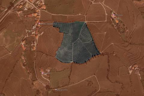 Quinta Vinícola com PIP em Apreciação para Boutique Hotel