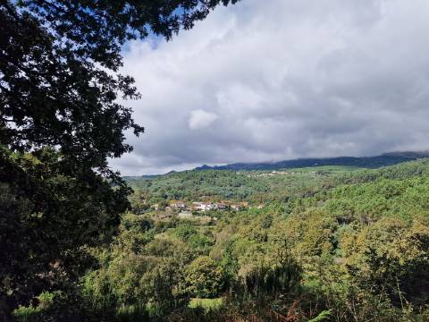 Terreno de 2.000 m2 em Adoufe, Vila Real