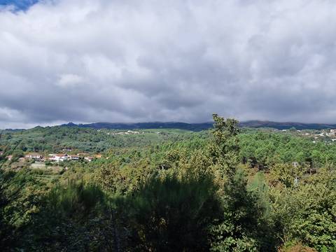 Terreno de 2.000 m2 em Adoufe, Vila Real