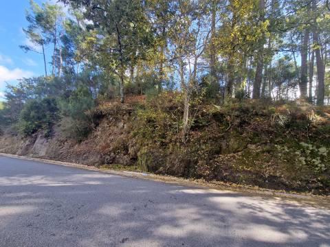 Terreno de 2.000 m2 em Adoufe, Vila Real