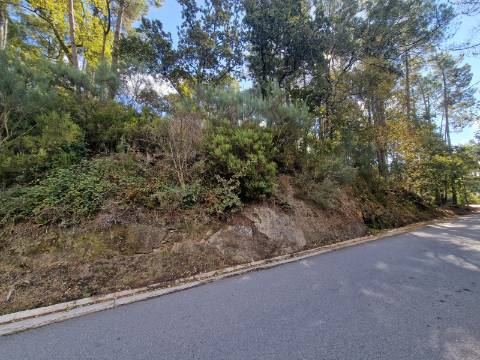 Terreno de 2.000 m2 em Adoufe, Vila Real