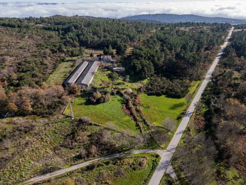 Em Campanha, Quintinha de 12.491m2 com Moradia T3 e Outras Edificações