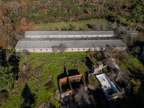 Em Campanha, Quintinha de 12.491m2 com Moradia T3 e Outras Edificações