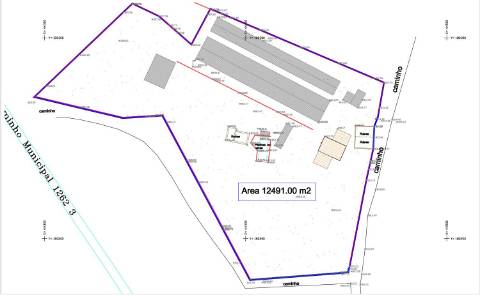Em Campanha, Quintinha de 12.491m2 com Moradia T3 e Outras Edificações