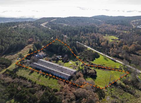 Em Campanha, Moradia T3 e Outras Edificações em Terreno de 12.491m2