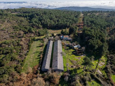 Em Campanha, Moradia T3 e Outras Edificações em Terreno de 12.491m2